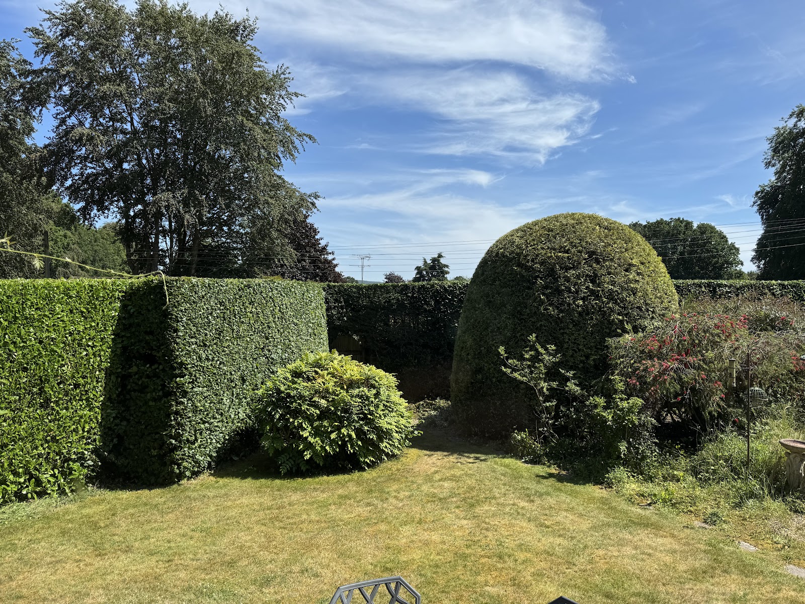 Neatly reshaped hedge with all cuttings cleared away